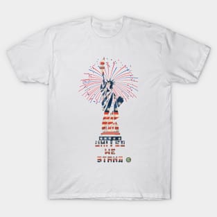 Fireworks at Liberty T-Shirt